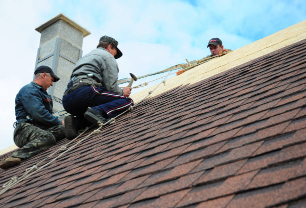 Professional Roofing Contractor in San Pablo, NM